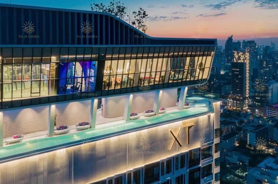 XT Ekkamai - Image 7