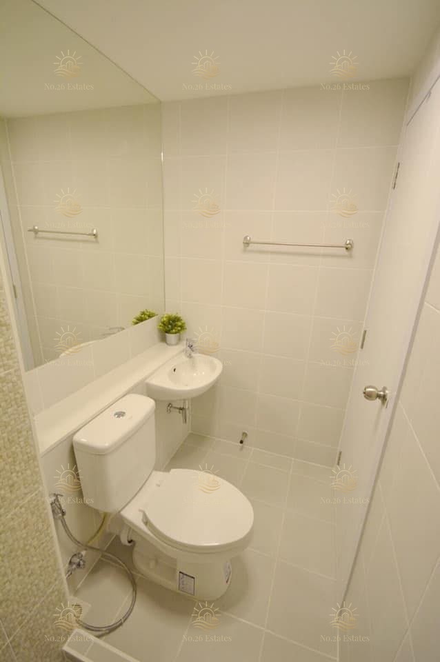 The Tree On Nut Station - Image 3