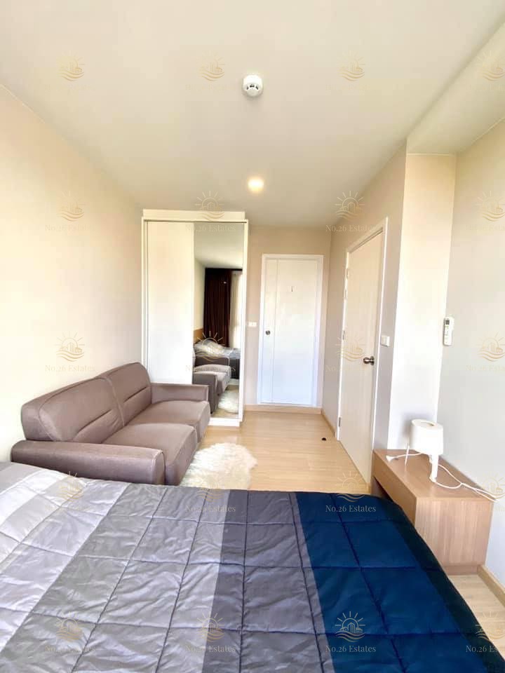 The Tree On Nut Station - Image 6