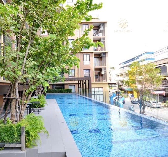 The Tree On Nut Station - Image 9